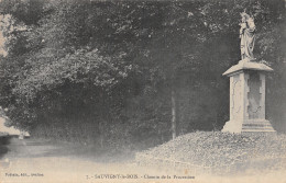 89 SAUVIGNY LE BOIS CHEMIN DE LA PROCESSION - Autres & Non Classés