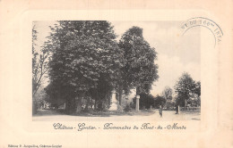 53 CHÂTEAU GONTIER - Chateau Gontier
