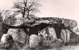 85 LE BERNARD DOLMEN DE LA FREBAUCHERE - Andere & Zonder Classificatie