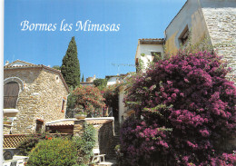83-BORMES LES MIMOSAS -N°C-4355-C/0315 - Bormes-les-Mimosas