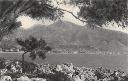 06-MENTON-N°5194-H/0393 - Menton