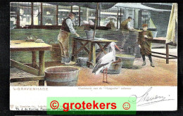 DEN HAAG Vischmarkt Met De Haagsche Ooievaar Ca 1900 - Den Haag ('s-Gravenhage)