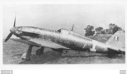 AVION FIAT G-55 CENTAURO PHOTO ORIGINALE  12.50 X 7 CM - Aviation