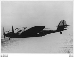 AVION C.R.D.A. CANT Z-1007  PHOTO ORIGINALE 23 X 17 CM - Luftfahrt