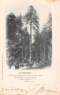 39-FORET DE LA JOUX PLUS GROS DES SAPINS-N°T5195-E/0103 - Andere & Zonder Classificatie