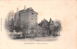 44-CHATEAUBRIANT-N°T5195-C/0111 - Châteaubriant