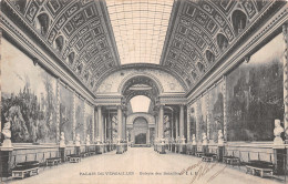 78-VERSAILLES LE PALAIS-N°T5195-G/0163 - Versailles (Château)