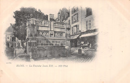 41-BLOIS FONTAINE LOUIS XII-N°T5195-F/0391 - Blois