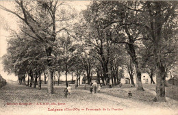 N°3987 W -cpa Laignes -promenade De La Perrière- - Autres & Non Classés