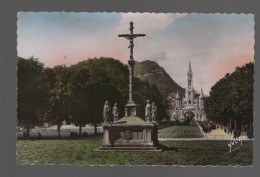 CPA - 65 - Lourdes - Le Calvaire Des Bretons Et La Basilique - Circulée En 1955 - Lourdes