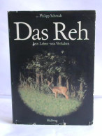 Das Reh. Sein Leben - Sein Verhalten. Versuch Einer Psychologie Der ältesten Hirschart Europas In Wort Und Schrift... - Unclassified