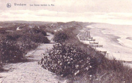 WENDUINE - WENDUYNE - Les Dunes Bordant La Mer - Wenduine
