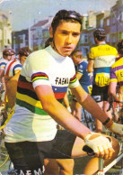 Cyclisme - Coureur Cycliste  Belge Eddy Merckx - Champion Du Monde 1967 - Ciclismo