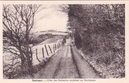 BASTOGNE -  Allée Des Rochettes Accedant Au Mardasson - Bastogne