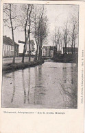 MONTAIGU -SCHERPENHEUVEL - Rue Du Moulin - Scherpenheuvel-Zichem