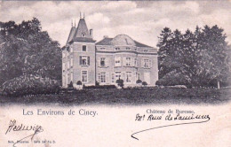 Environs De CINEY - Chateau De Buresse - Ciney