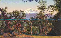 R653660 Popocatepetl. Amecameca. Postcard - Monde