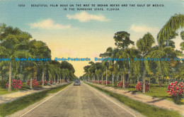 R653252 Florida. In The Sunshine State. Beautiful Palm Road On The Way To Indian - Monde