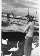 Photographie Vintage Photo Snapshot Genève Cygne  Femme Mode Foulard - Anonymous Persons
