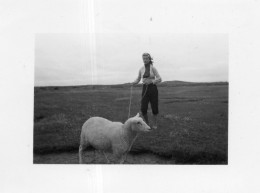 Photographie Vintage Photo Snapshot Blainville Mouton Cheep Femme - Other & Unclassified