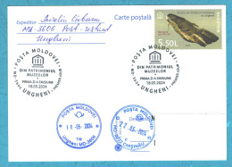 Moldova , 2024 , From The Museums’ Patrimony, Postcard With The Stamp & Spec.postmark FIRST DAY - Moldova