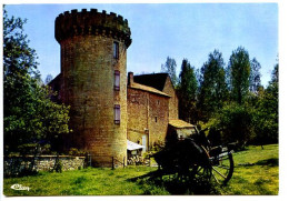 CPSM / CPM 10.5 X 15 Deux Sèvres LEZAY Château De Germain   Charette - Autres & Non Classés