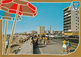 BERCK PLAGE (62) La Digue  CSM GF - Berck