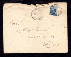 Italia Regno 1919 Michetti 25 Cent. Azzurro (1908) Su Busta - Marcophilie