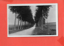 80 DOULLENS Cpsm Cote D ' Arras Tres Celebre Le Jour De La Couse Cycliste PARIS ROUBAIX    Edit Lourlon - Doullens