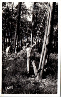 40 TYPES DES LANDES [REF/38381] - Autres & Non Classés