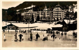 Wengen, Palace - Rink (33427) - Wengen