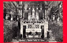 ITALIA - Marche - Cartolina Viaggiata Nel 1962 - Loreto (Ancona) - Basilica - Interno Della Santa Casa - Autres & Non Classés