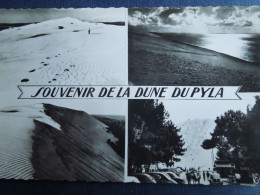 La Dune Du Pyla    Souvenir    Multivues       CP2403027 - Autres & Non Classés