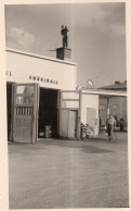 Photographie Vintage Photo Snapshot Suède Sweden Sverige Esso Essence Station - Lieux