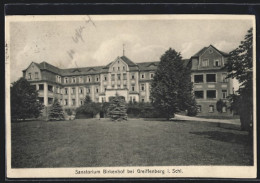 AK Greiffenberg I. Schl., Sanatorium Birkenhof  - Schlesien