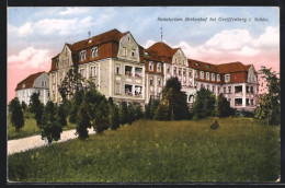 AK Greiffenberg I. Schles., Sanatorium Birkenhof  - Schlesien