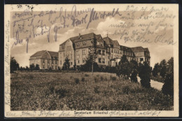 AK Greiffenberg In Schlesien, Am Sanatorium Birkenhof  - Schlesien