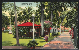 AK Kingston, The Grounds Of The Myrtle Bank Hotel  - Jamaica