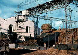 CPSM - La RÉUNION - SAINT-LOUIS - Usine Sucrière "Le Gol" - Edition M.Chane Ki Chune - Sonstige & Ohne Zuordnung