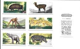 BM26 - SERIE COMPLETE 50 CARTES NEILSON'S - INTERESTING  ANIMALS - Altri & Non Classificati