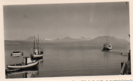 Photographie Vintage Photo Snapshot Norvège Norway Norge Narvick Fjörd - Lieux