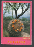 Barrel Cactus In Blooming, USA, Somewhere In Arizona, Mailed In Salem In 1992. - Cactussen