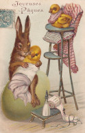 Lapin De Paques Humain Et Poussin Gaufrée Biberon Humanized Rabbit Embossed Feeding Bottle - Pasqua