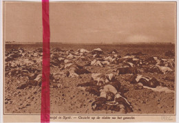 Syrie - After The Battle , Na De Gevechten - Orig. Knipsel Coupure Tijdschrift Magazine - 1926 - Unclassified