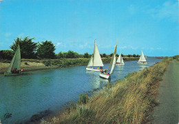 17 ARS EN RE LE CHENAL - Ile De Ré