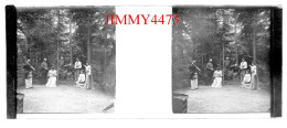 Une Grande Famille Dans Un Bois, à Identifier - Plaque De Verre En Stéréo - Taille 44 X 107 Mlls - Glass Slides