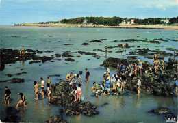 17 SAINT PALAIS SUR MER  - Saint-Palais-sur-Mer