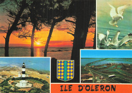 17 ILE D OLERON  - Ile D'Oléron