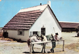 13 CAMARGUE LES GARDIANS - Autres & Non Classés