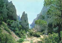 13 CASSIS LES CALANQUES - Cassis